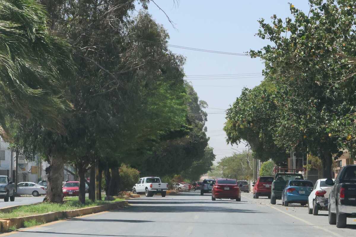 Clima en La Laguna: Pronóstico del tiempo en Coahuila y Durango
