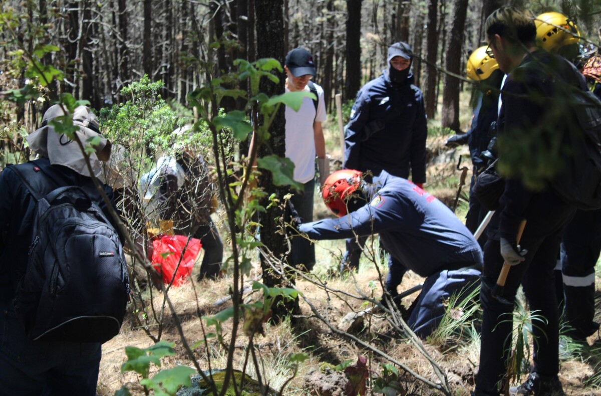Varios colectivos van al Ajusco para encabezar jornadas de búsqueda.|  K. Sánchez, R. Mejía y JL Medina
