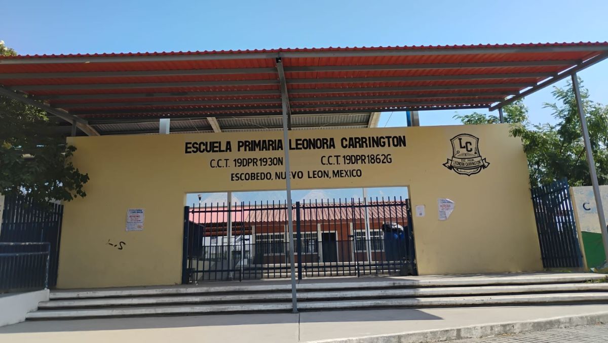 Entre la Secretaría de Educación y la Comisión Federal de Electricidad se responsabilizan de la falla | Sandra González