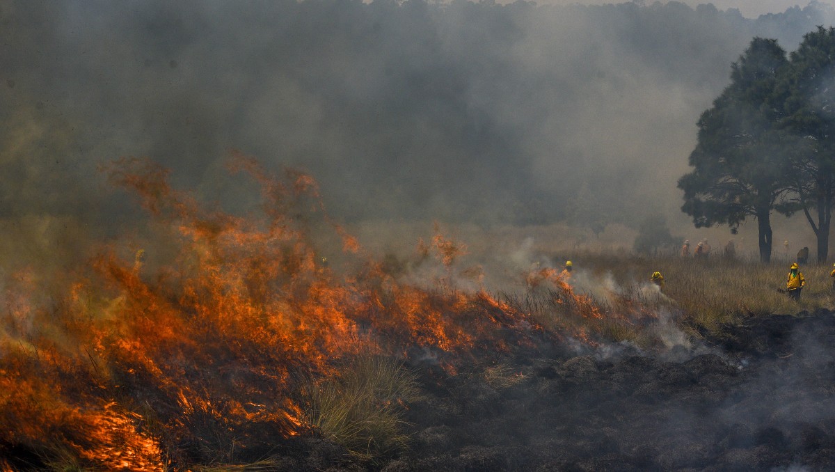Cambio climático contribuyó a propagación de incendios. (Foto: Cuartoscuro)