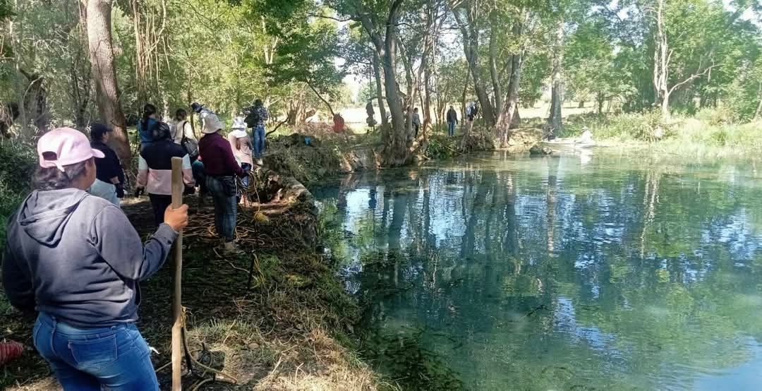 Comunidades locales participan en la rehabilitación de manantiales para proteger el ecosistema del lago. | Foto: Especial