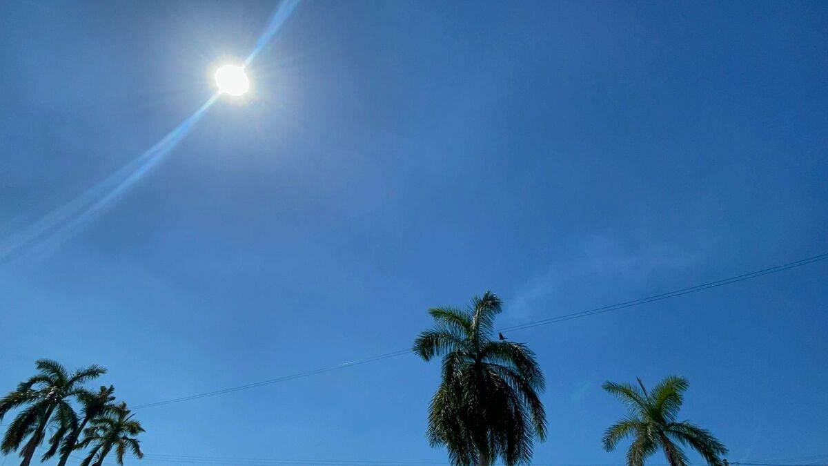 Ola de calor en el sureste: autoridades confirman primer deceso en Chiapas | Especial