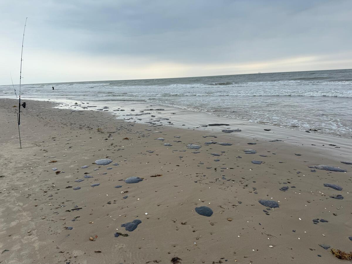 Cierran Playa Tesoro por presencia de sedimentos y manchas de hidrocarburo