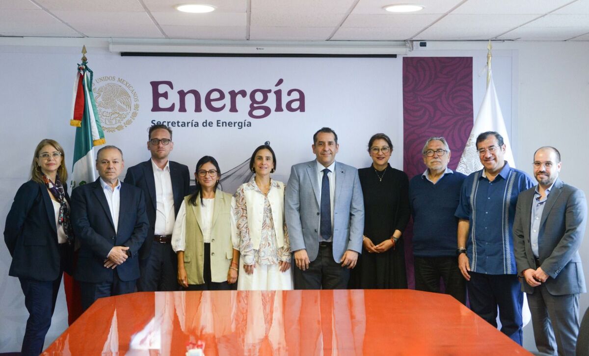 Comité Técnico de la Comisión Nacional de Energía. | Especial