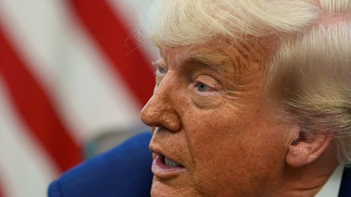 Donald Trump nombró a Elon Musk asesor para reducir el gasto público. | AP