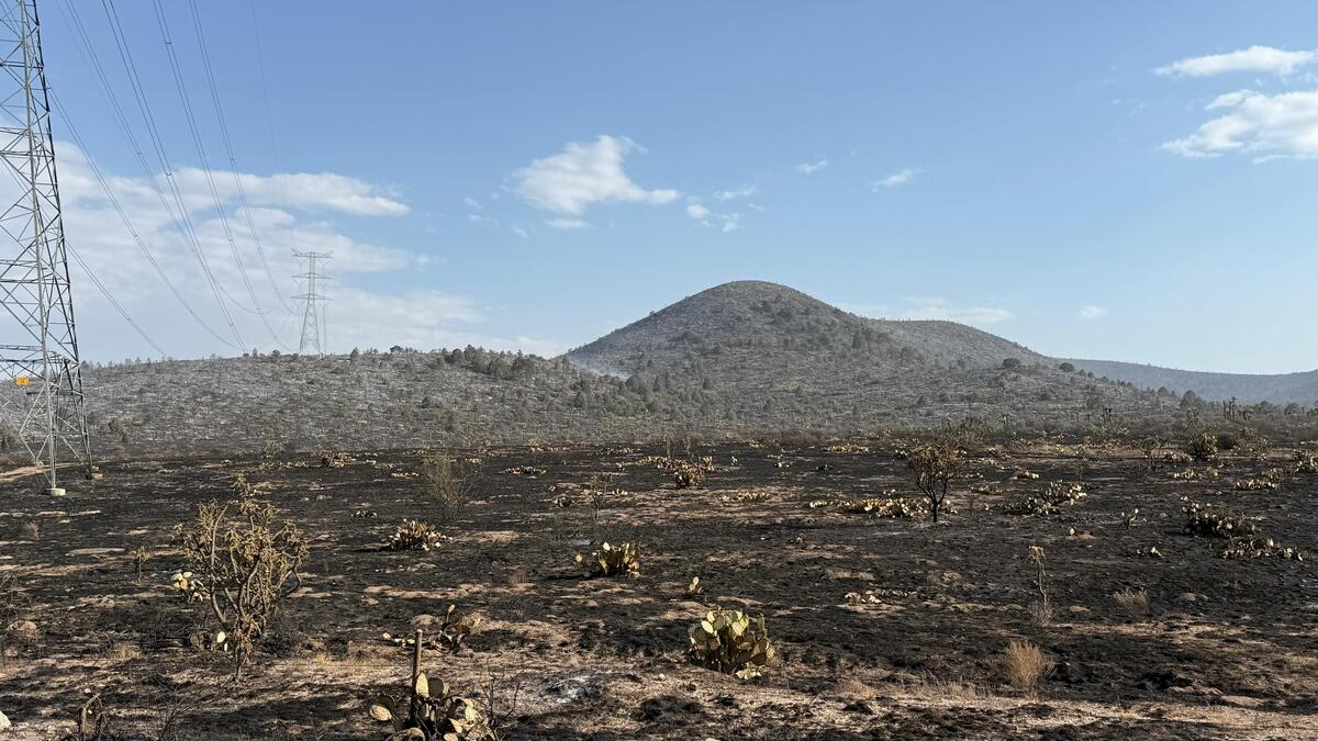 El incendio forestal registrado en el Rancho Los Ángeles, al sur de Saltillo, fue controlado. (Kevin Carranza)
