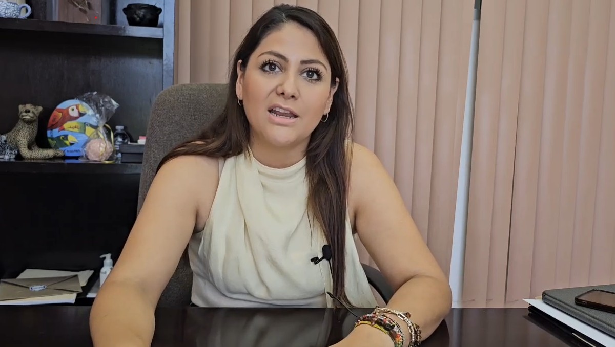 La diputada Ana Karen Ruiz asefuró que la licencia se concede independientemente de las vacaciones establecidas | Especial