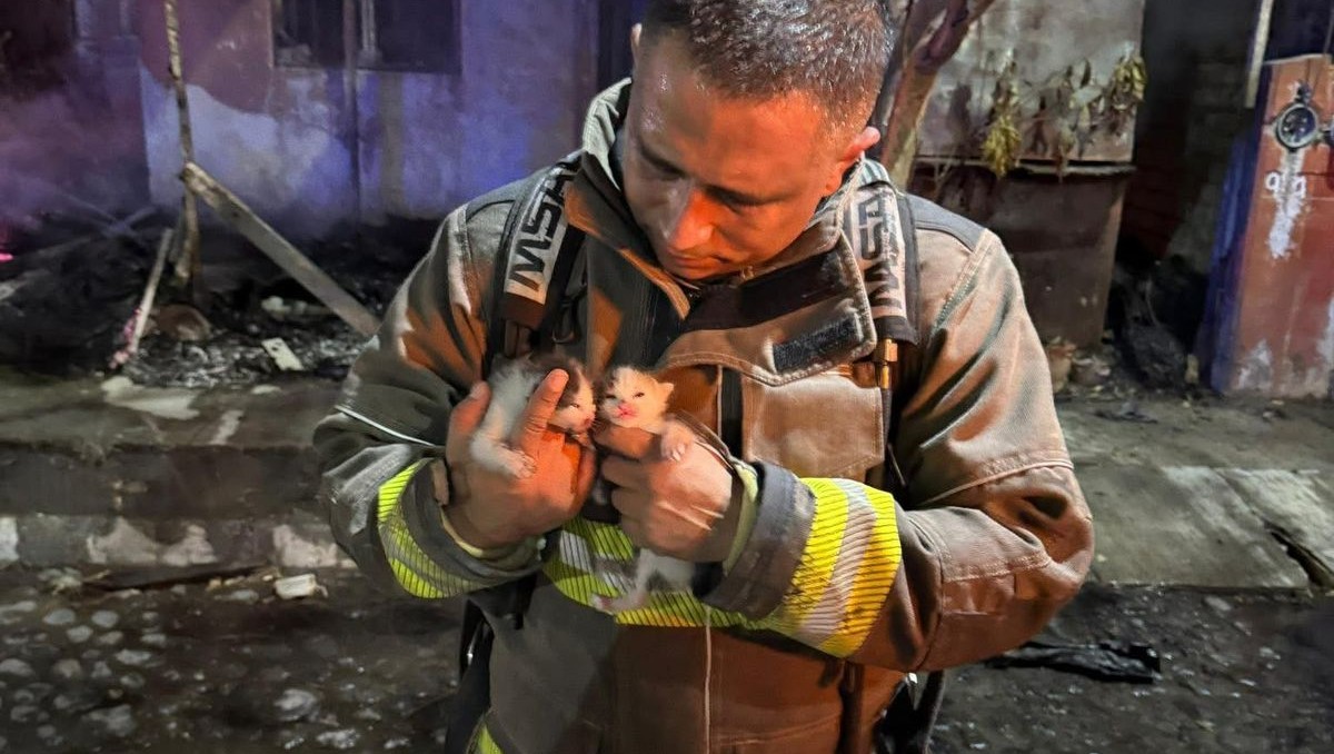 Incendio en Colima moviliza a bomberos; rescatan a varias mascotas | Especial