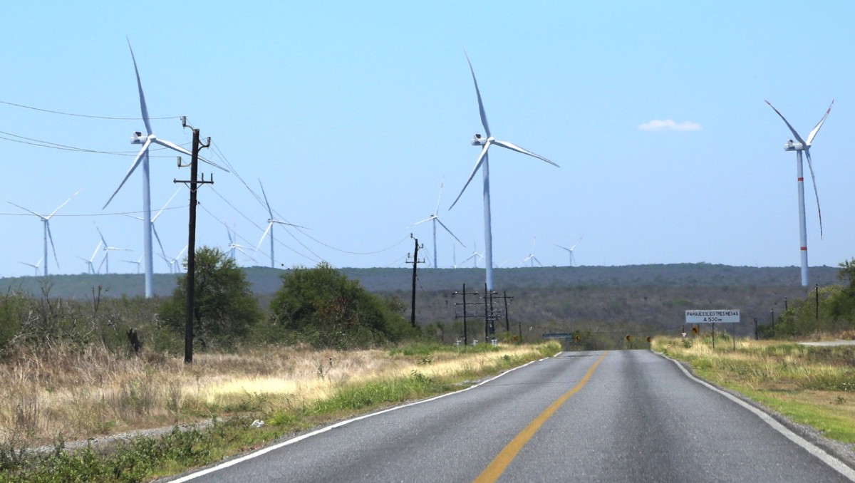 Parque eólico en Tamaulipas. (Yazmín Sánchez)