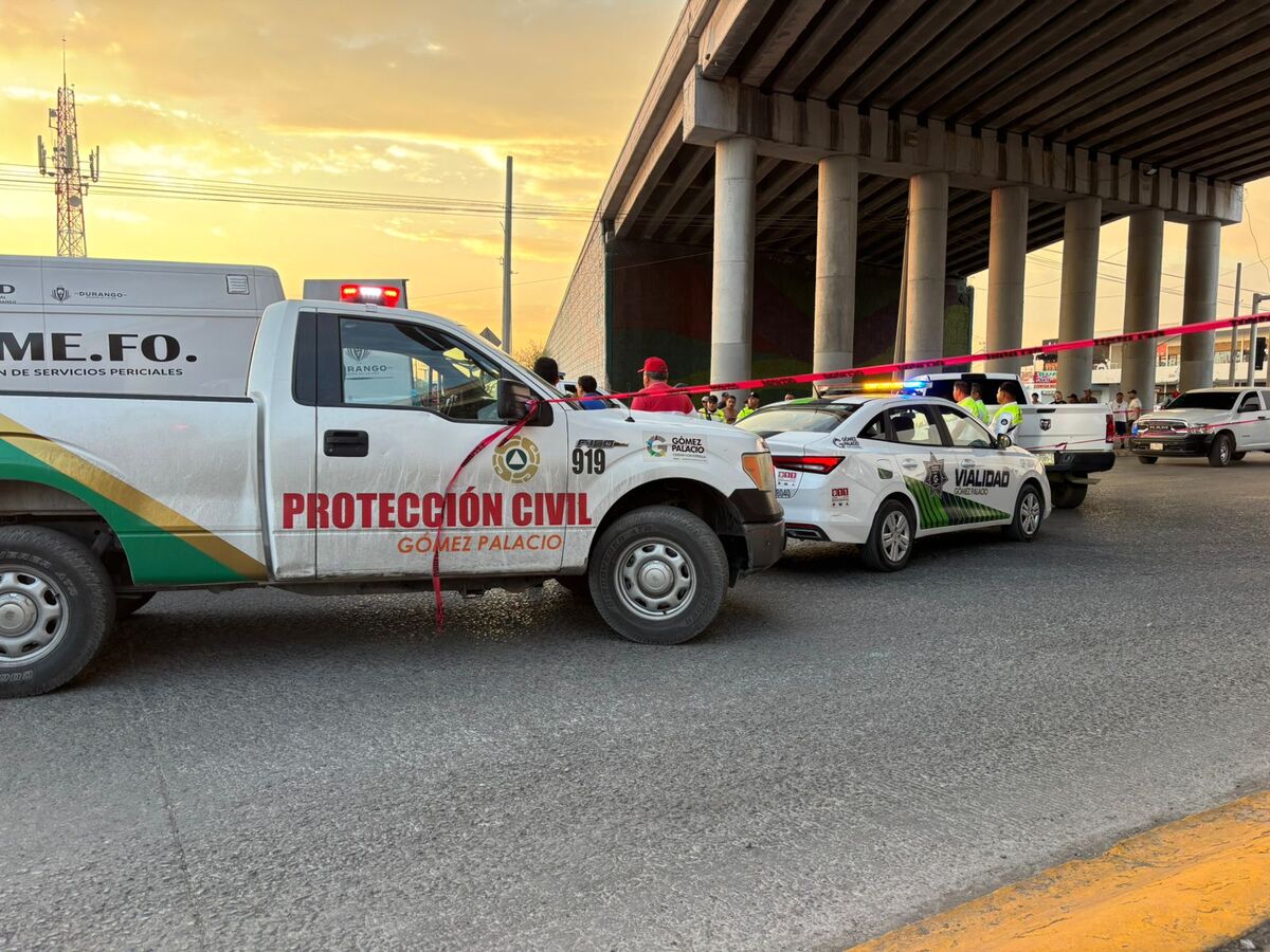 Testigos precisaron que el joven subió al puente en un aparente estado de ebriedad para luego arrojarse al precipicio.| Archivo