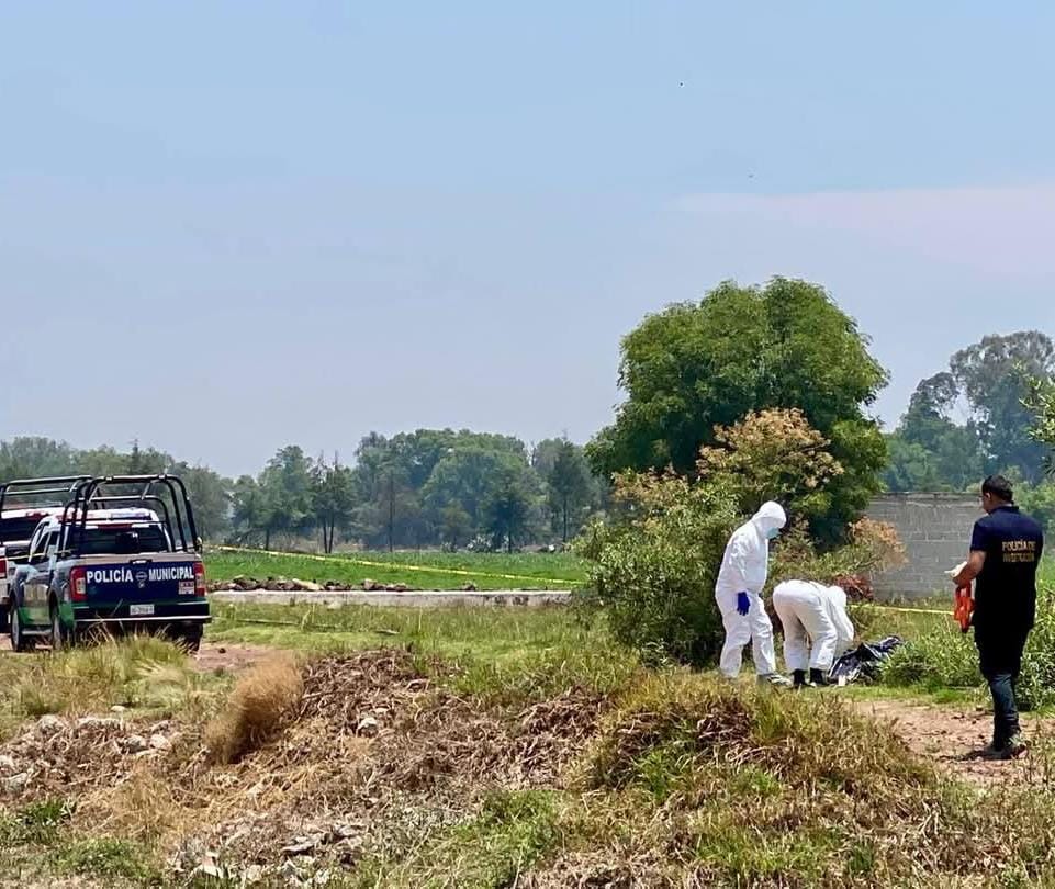 Vecinos dieron aviso a las autoridades tras encontrar restos humanos en vía pública