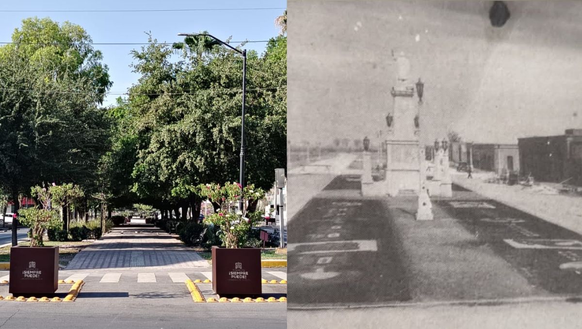 La calzada Colón de Torreón, Coahuila. | Antonio Ramírez/Archivo Municipal
