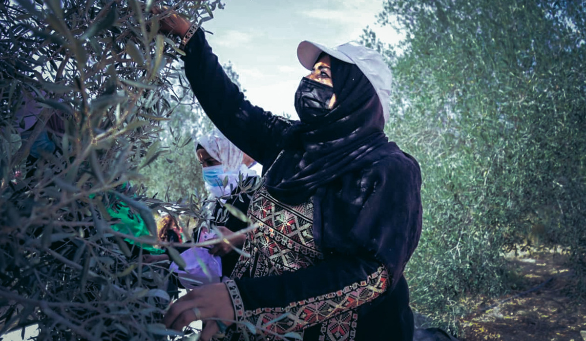 Para los campesinos palestinos, la agricultura es una forma de subsistencia, supervivencia y resistencia. (UAWC)
