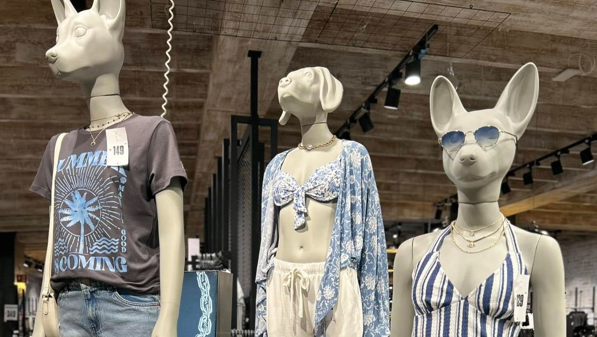Cuidado con el Perro también se une al Hot Sale en este 2025, puedes ver cuáles son las ofertas aquí | Especial