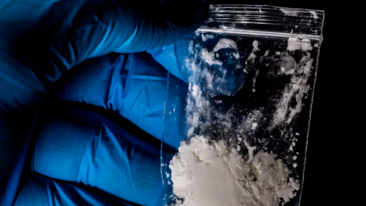 DEA emite alerta sobre carfentanilo, un opioide 100 veces más potente que el fentanilo