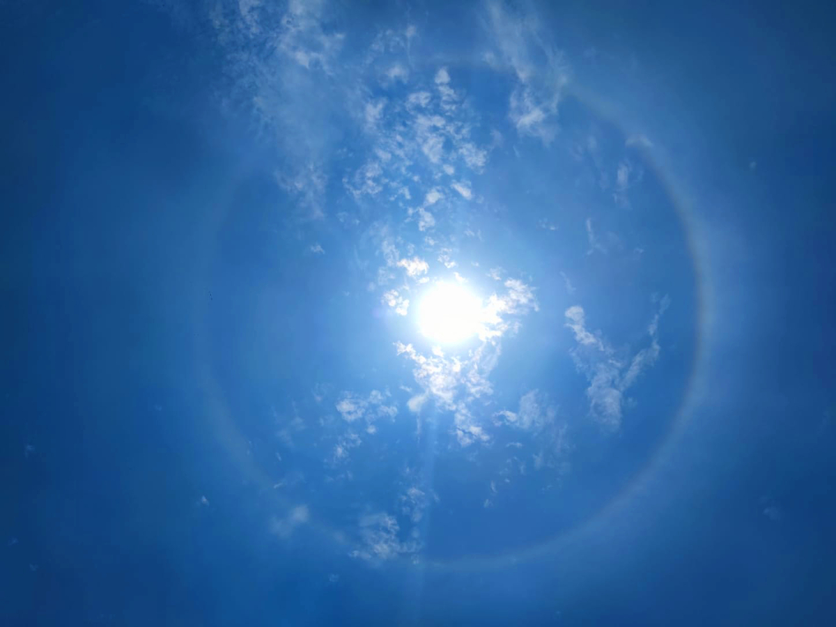 Halo solar de este sábado 24 de mayo 2025 en CdMx. | Foto: César Zayago