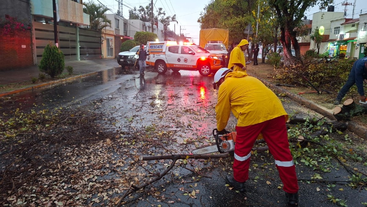 Lluvias causan caída de árboles y ramas en Puebla | Especial