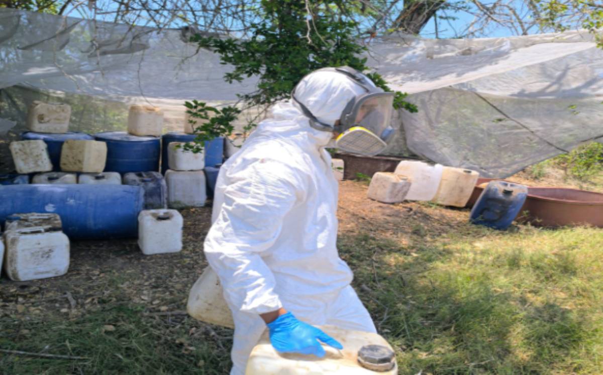Decomisan químicos en Sinaloa | Sinaloa