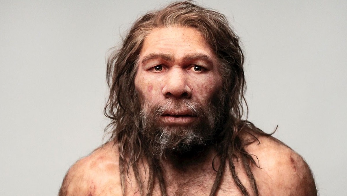 Encuentran huella dactilar de neandertal | Especial