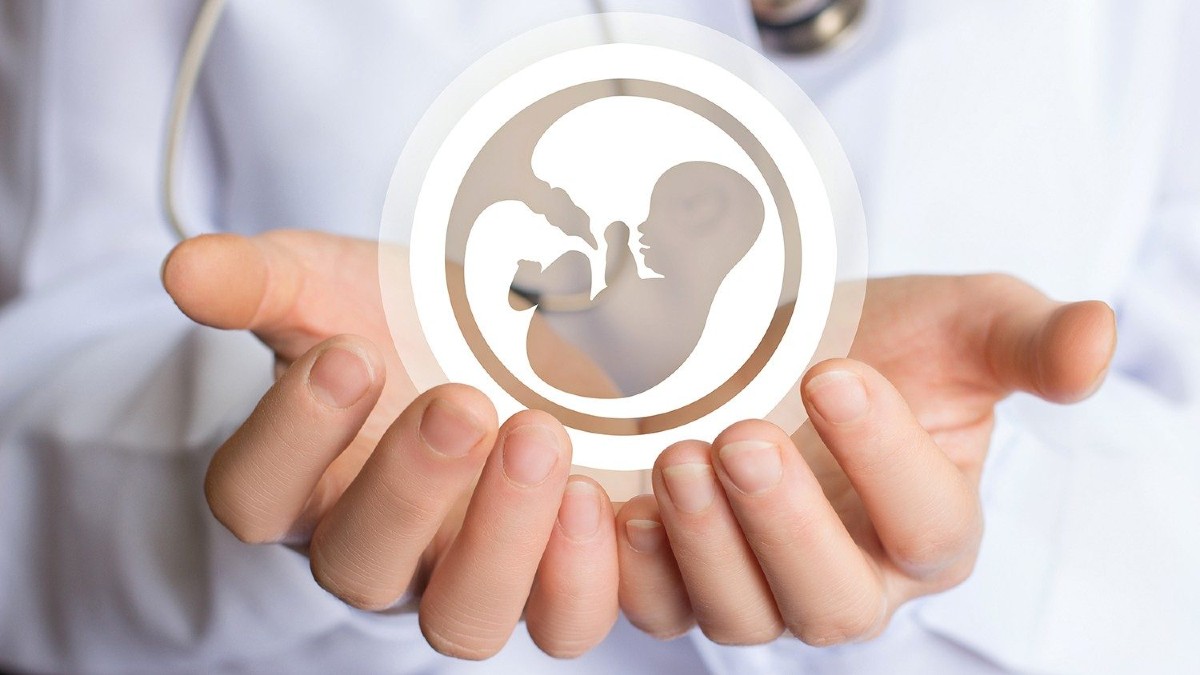 Figuras católicas de Guanajuato rechazan despenalización del aborto. | Especial