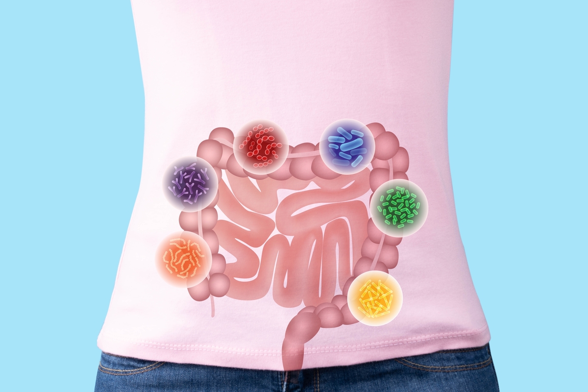 Microbiota. (Foto: Shutterstock)