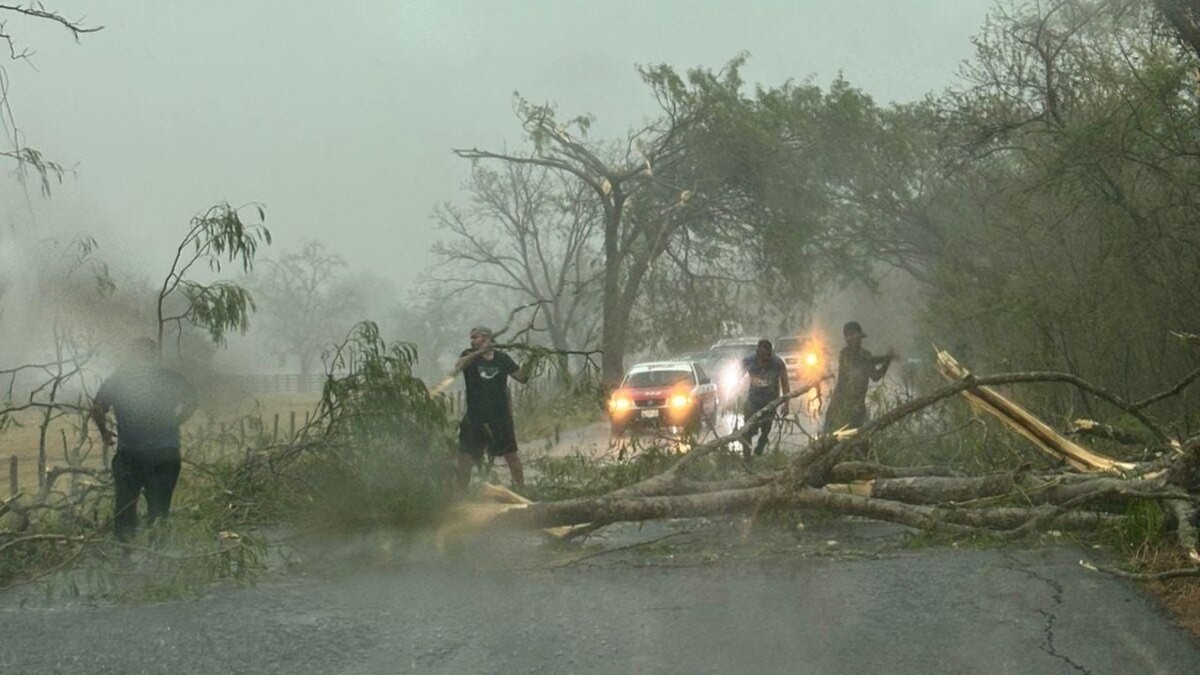 Ramas y árboles caídos provocaron bloqueos en diversas carreteras de la Huasteca hidalguense