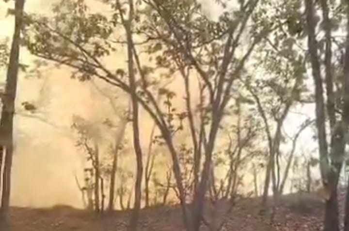 Sin controlar incendio causado por un rayo en Jacala. (Cortesía)