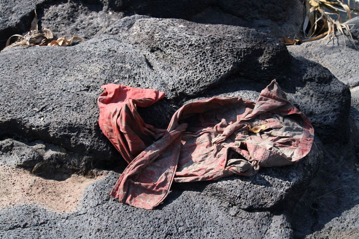 En la fosa de Salvatierra, Guanajuato, fueron hallados 80 cuerpos. | Foto: Especial