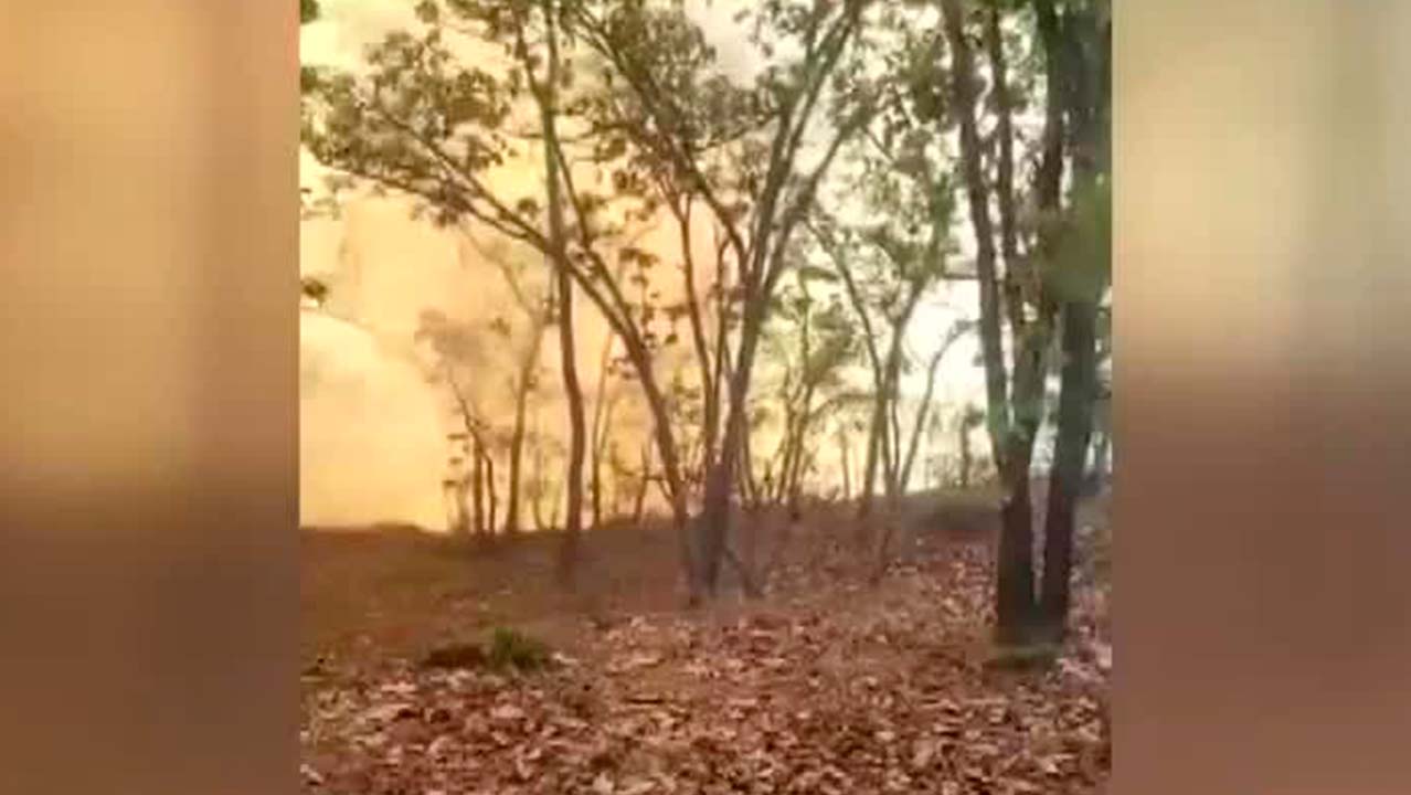Incendio forestal mantiene en alerta a los habitantes de Jacala de Ledezma, Hidalgo