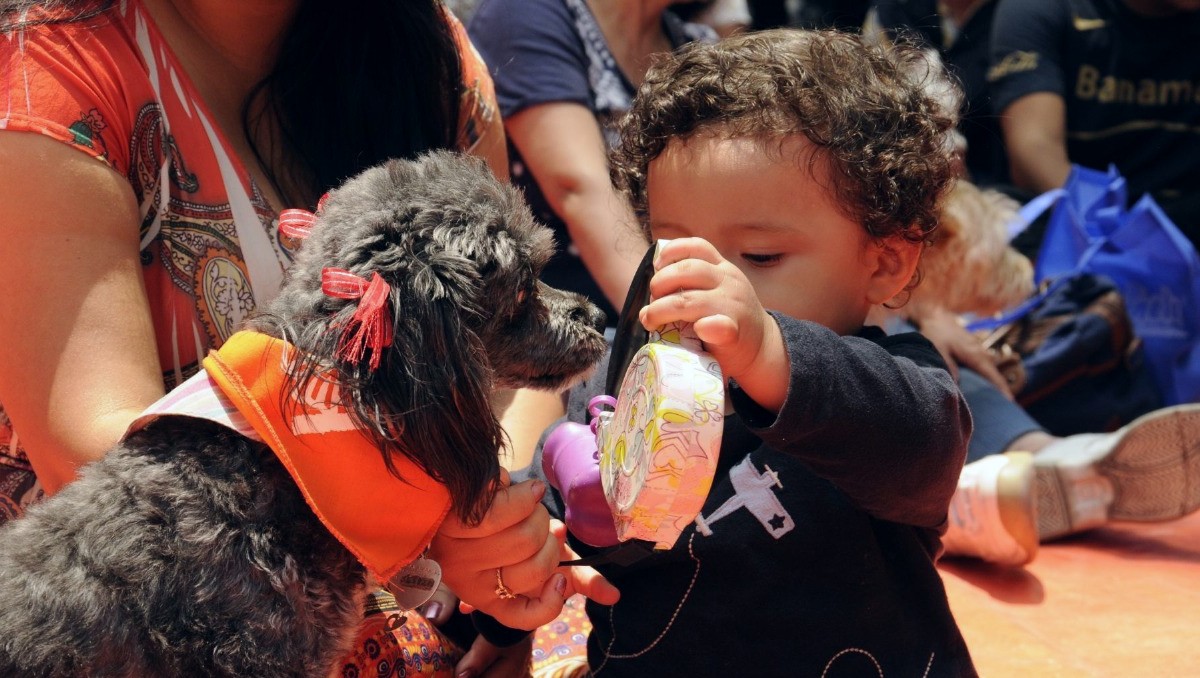 Las mascotas pueden inculcar valores en la infancia, como responsabilidad o empatía | Freepik