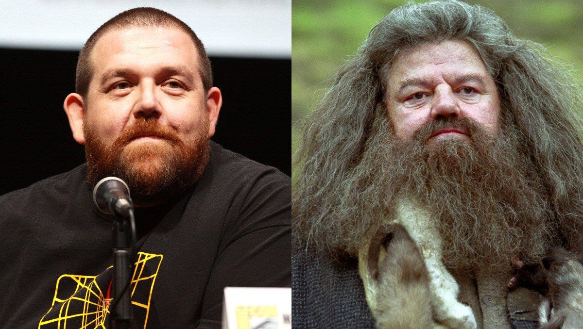 Nick Frost como Rubeus Hagrid