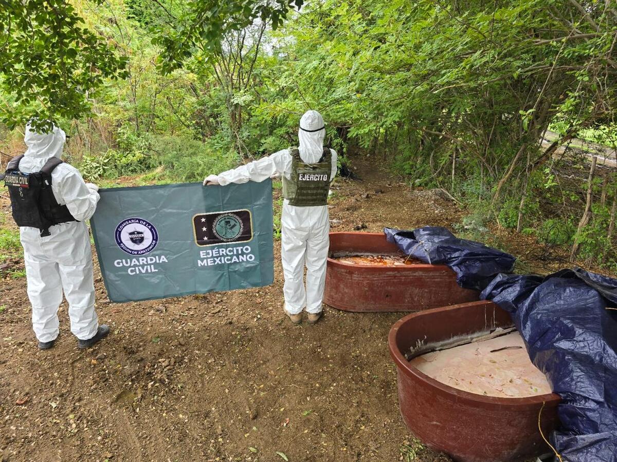El campamento  fue localizado en la comunidad de Catarino Pérez, en Tepalcatepec. | Especial