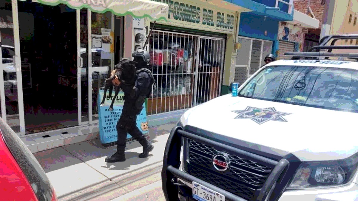 El acto de crueldad fue denunciado por ciudadanos y difundido en redes sociales.