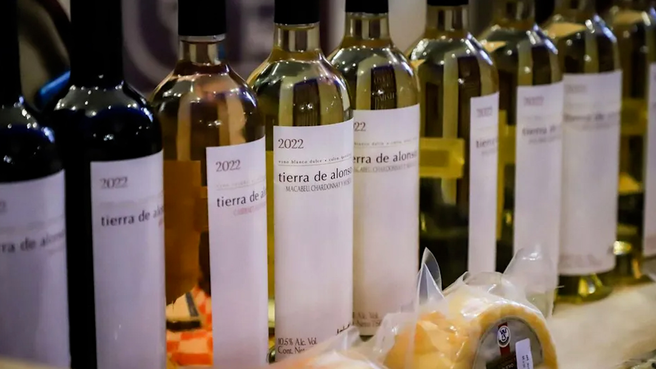 Alcalde de Tequisquiapan invita al Festival Internacional de Arte, Queso y Vino