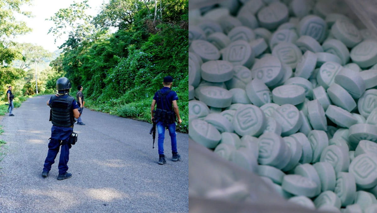 Los cambios en el panorama del narcotráfico de México son variados | Especial