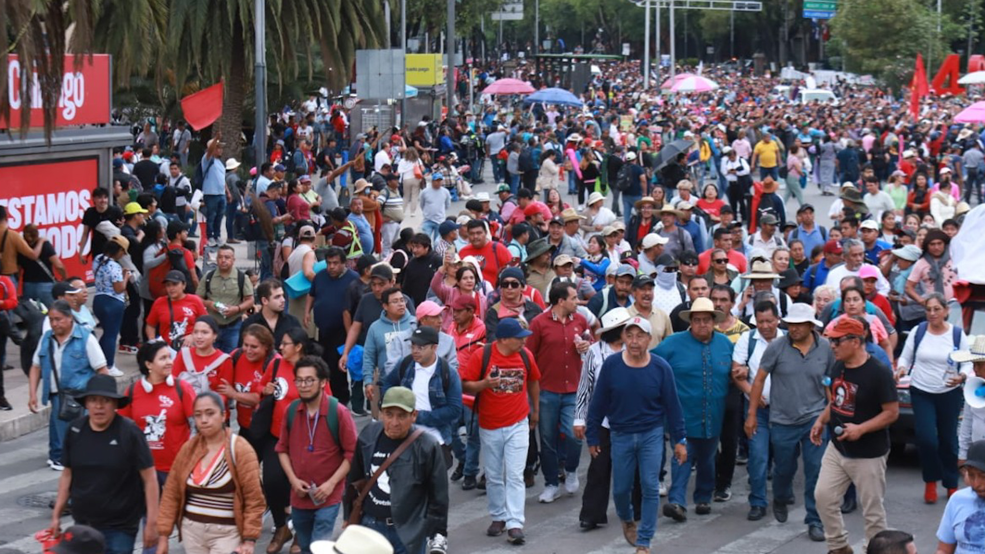 CNTE boicoteará las elecciones si no cumplen sus demandas. Alejandro Domínguez, 30 de mayo 2025