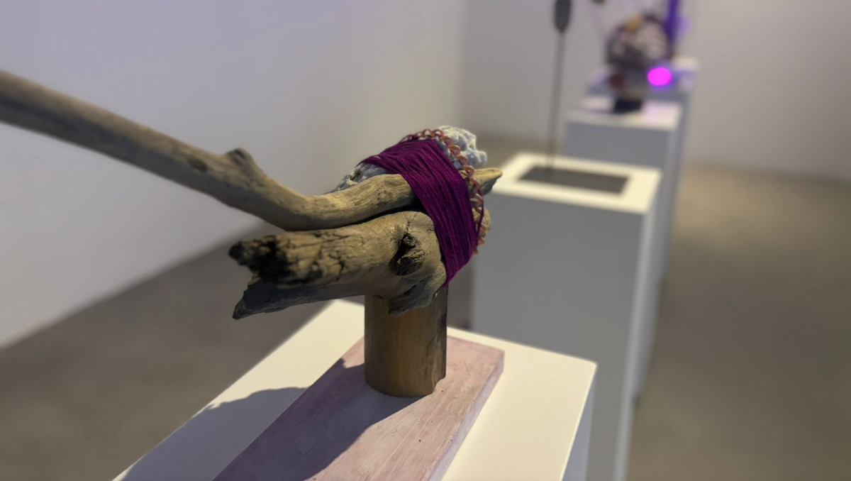 La exposición de arte contemporánea estará presente durante varios meses en el MAZ (Foto: Roberto Hurtado)