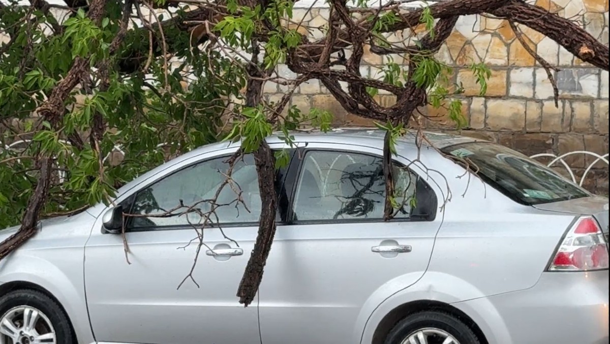 Fuertes lluvias inundan calles y desbordan arroyos; Protección Civil activa operativos | Especial