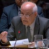 Riyad Mansour desde su informe en la ONU.