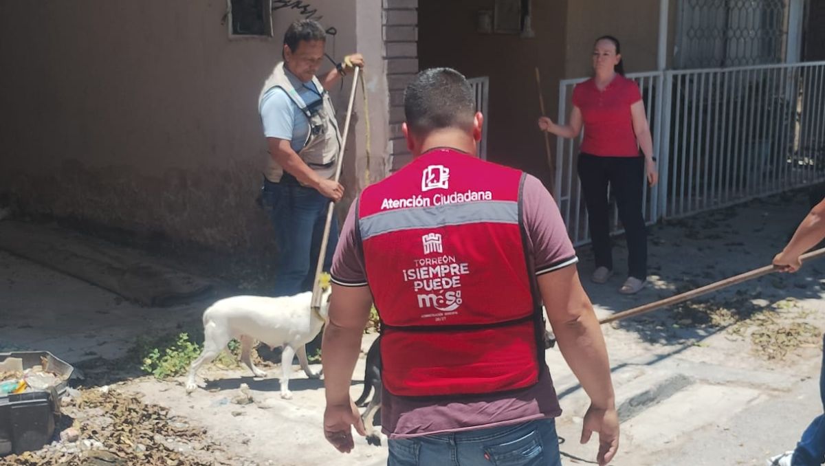 Atención ciudadana rescató a los dos perritos. | Especial