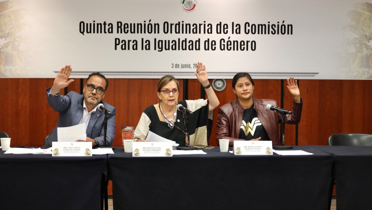 Dichas subcomisiones estarán divididas en: autonomía física, autonomía económica y autonomía en la toma de decisiones.