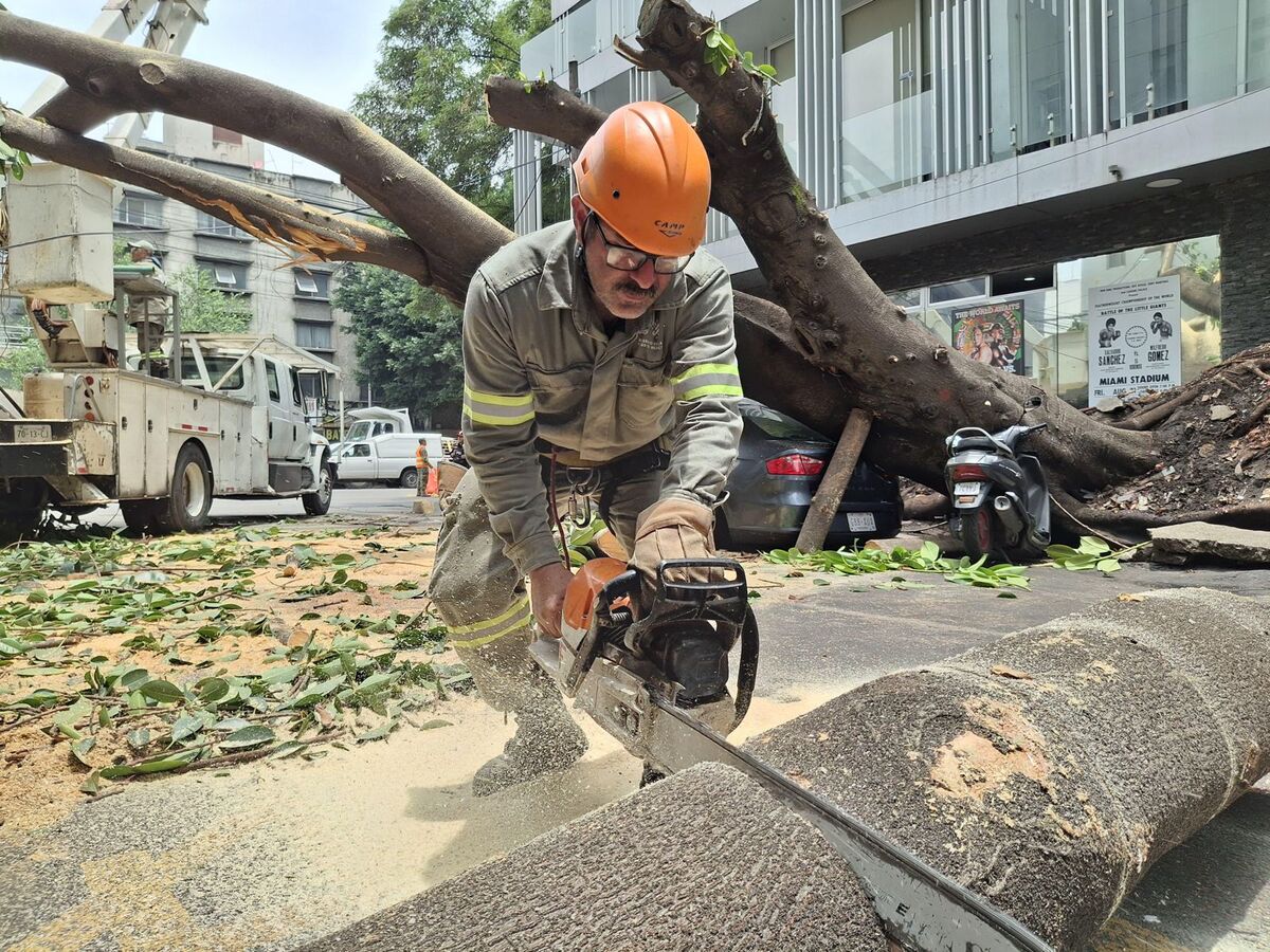 Diversas cuadrillas con personal de la alcaldía se encuentran trabajando. (Foto: especial)