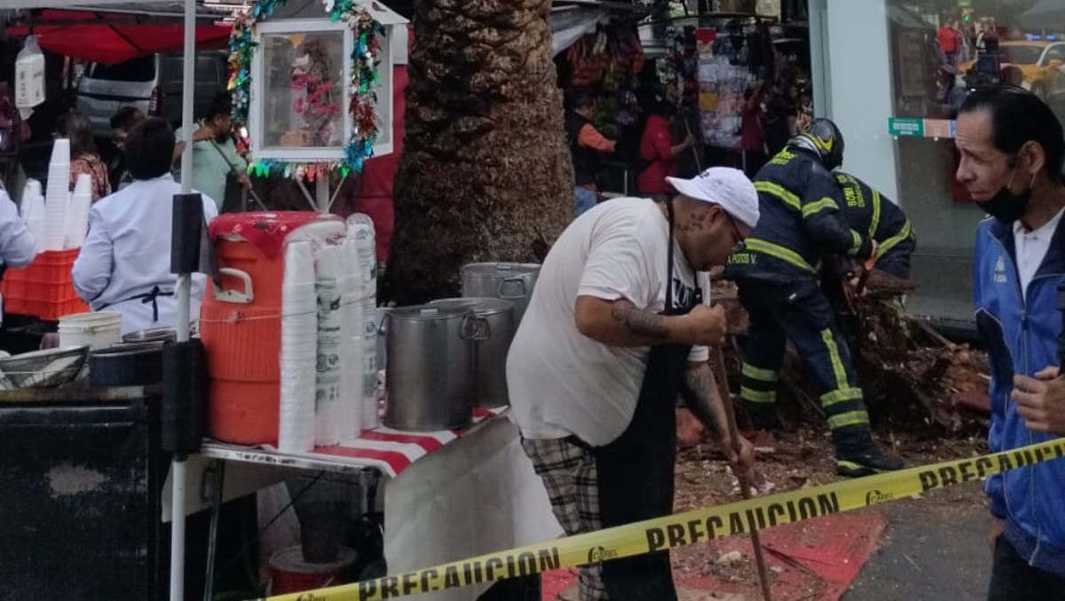 Elementos de seguridad acudieron en apoyo de la ciudadanía | X