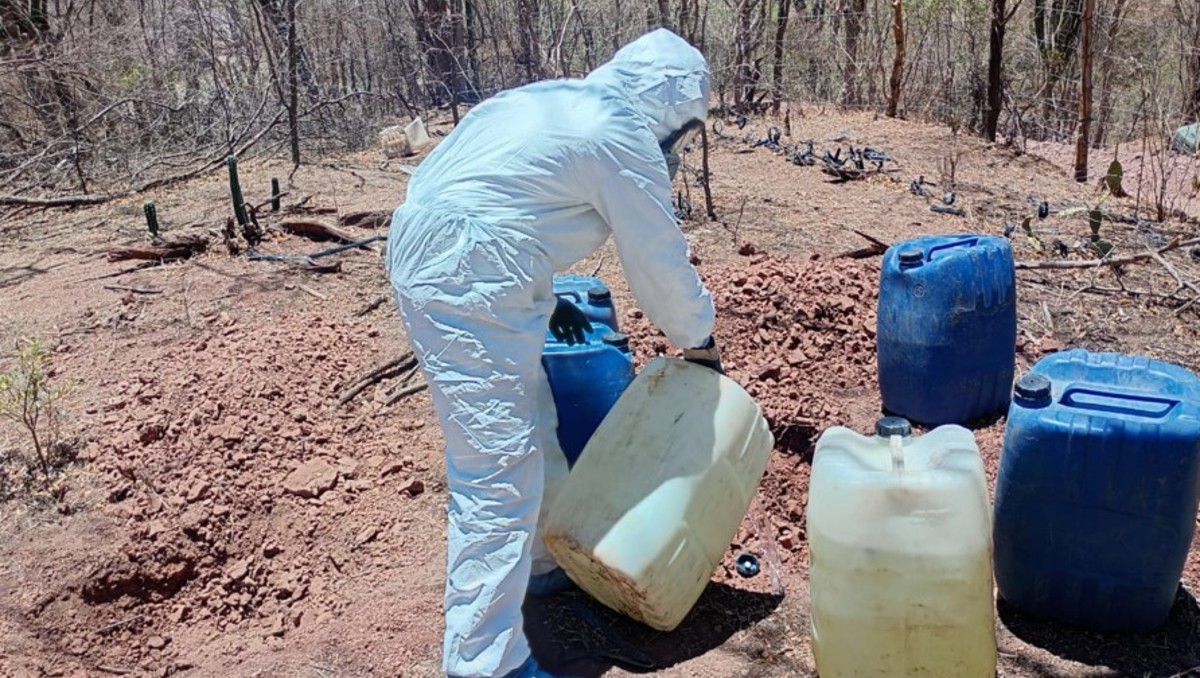 Fueron localizadas tres áreas de concentración de material para elaborar metanfetamina. | SSPC