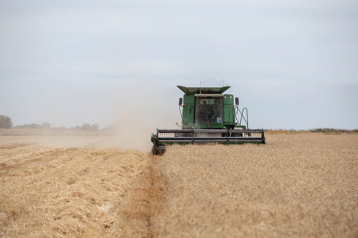 La Agricultura Regenerativa permite mejorar la salud del suelo y optimizar el uso de los recursos en campo. (Cortesía)