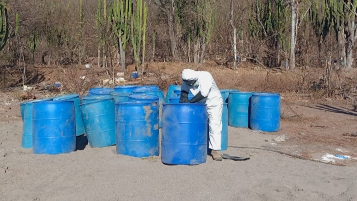Han sido aseguradas 36.6 toneladas de droga durante el Operativo Frontera Norte. | SSPC