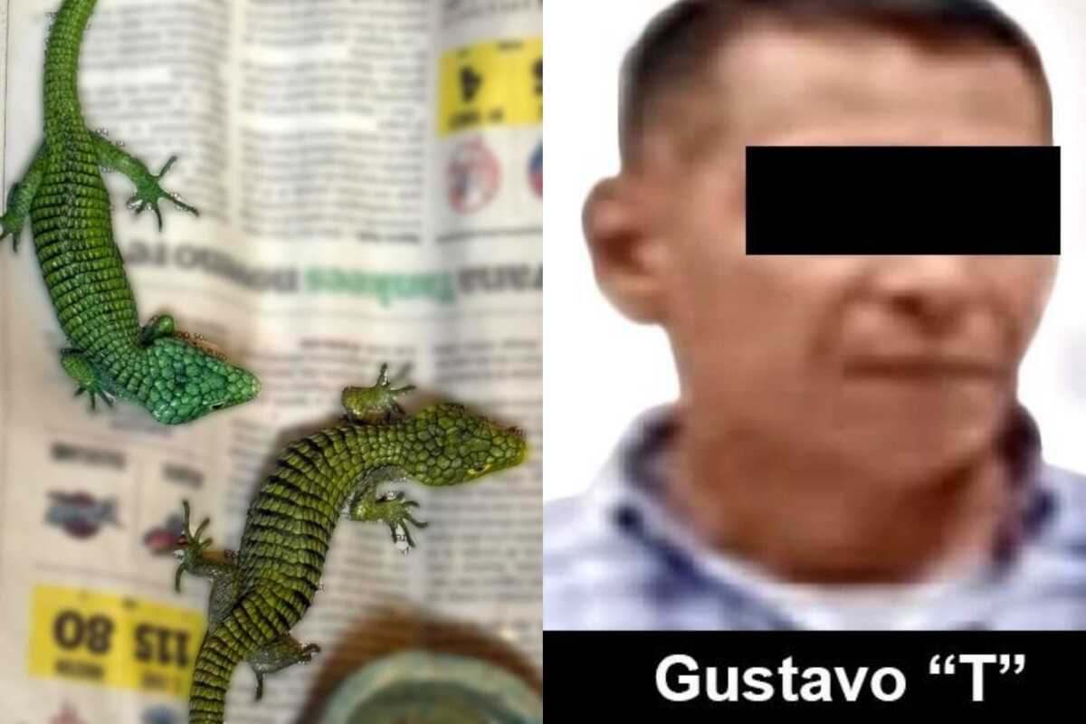 El sospechosos ya fue vinculado a proceso.