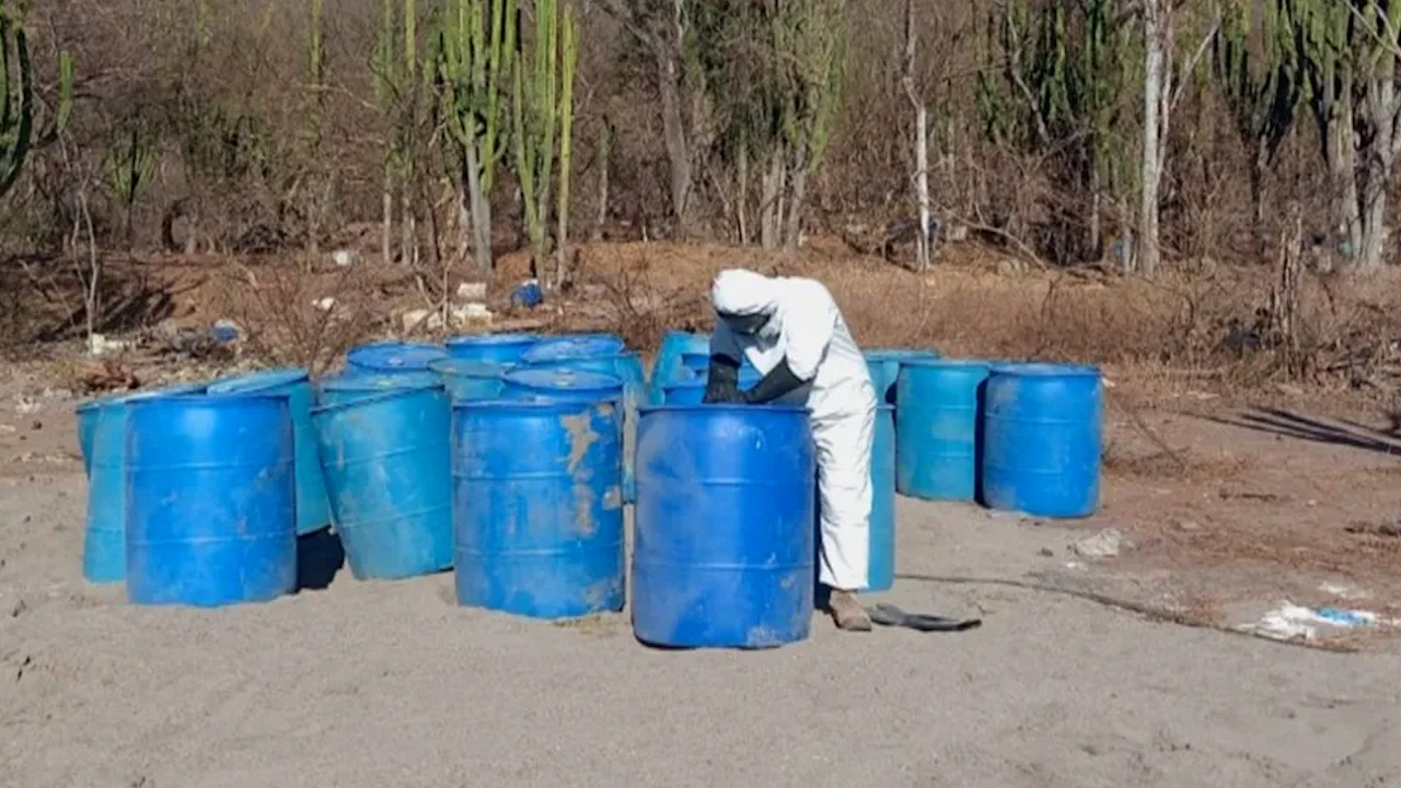 Operación Frontera Norte suma 36.6 toneladas de droga incautadas