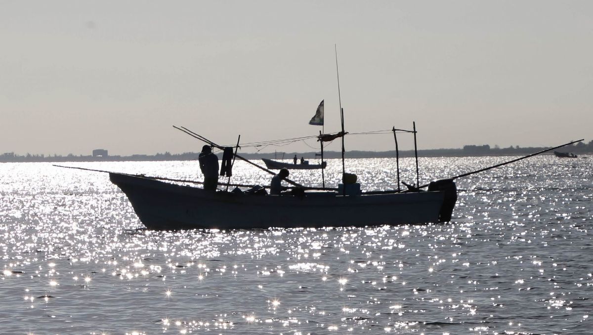 La pesca ilegal puede ocasionar el colapso de quienes se dedican a esta actividad de manera regulada, advierten organismos internacionales| Cuartocuro