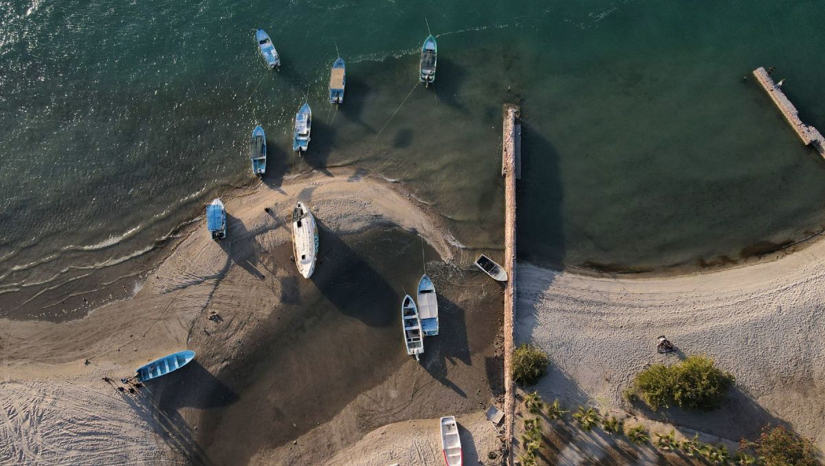 La pesca ilegal representa una de las mayores amenazas al sector, según diversas organizaciones civiles | Cuartoscuro